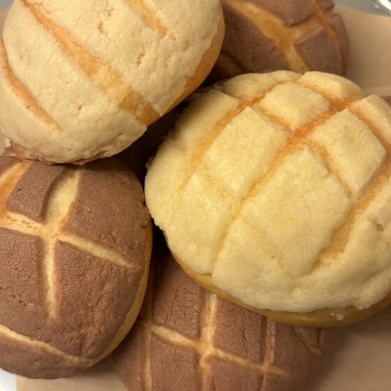 Conchas elmaguey